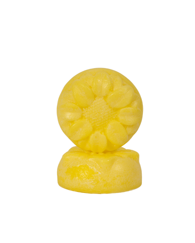 SAVARI - Cuidado capilar sólido